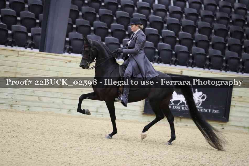 Proof 22BUCK_02598