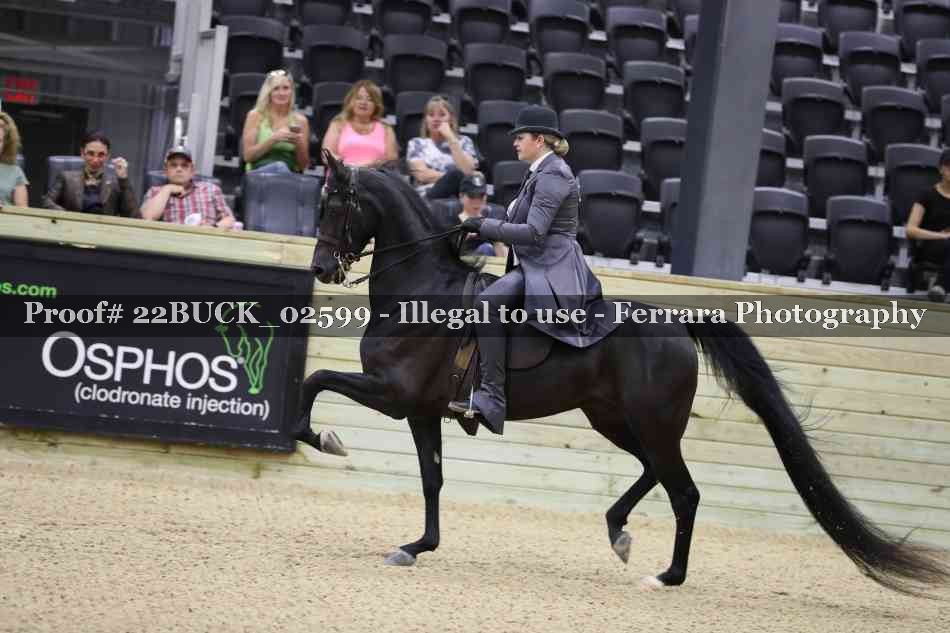 Proof 22BUCK_02599