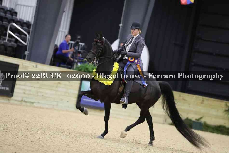 Proof 22BUCK_02600