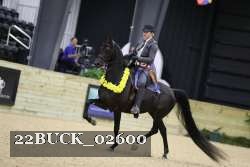 22BUCK_02600 proof