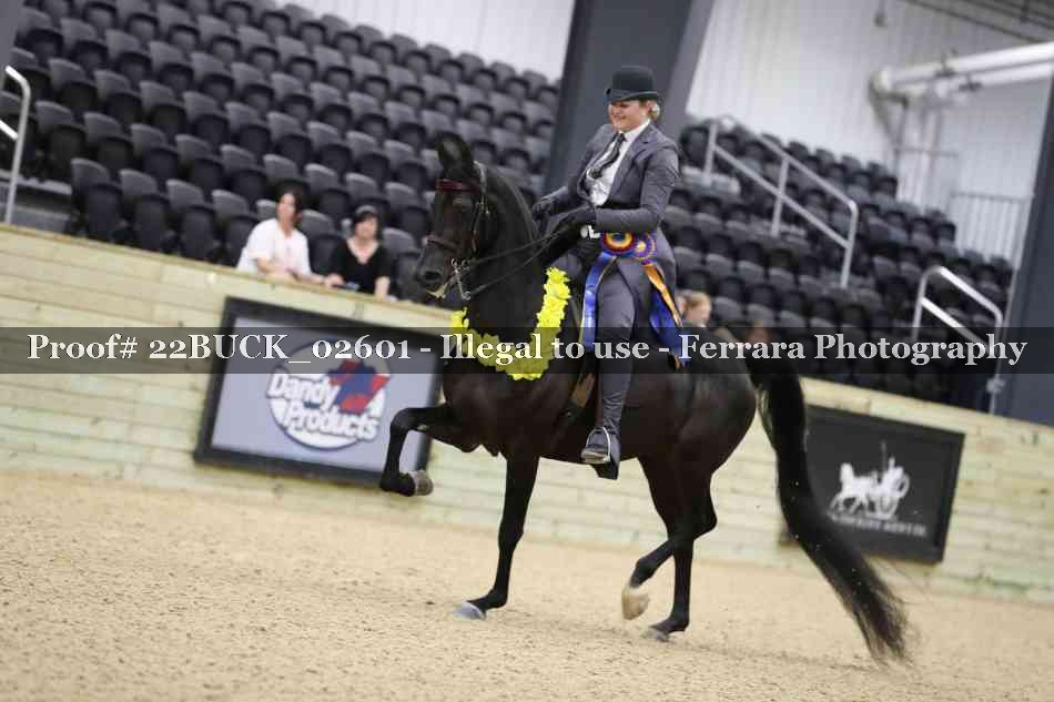 Proof 22BUCK_02601