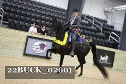 22BUCK_02601 proof