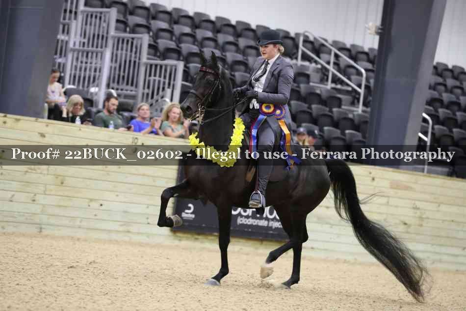 Proof 22BUCK_02602