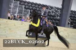 22BUCK_02602 proof