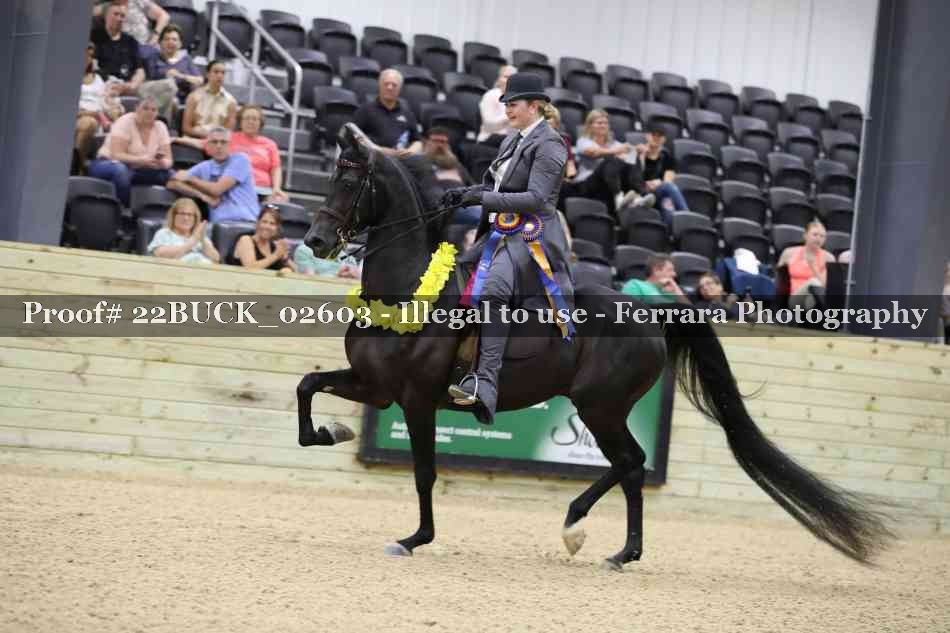 Proof 22BUCK_02603