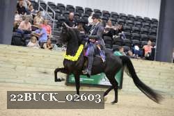 22BUCK_02603 proof