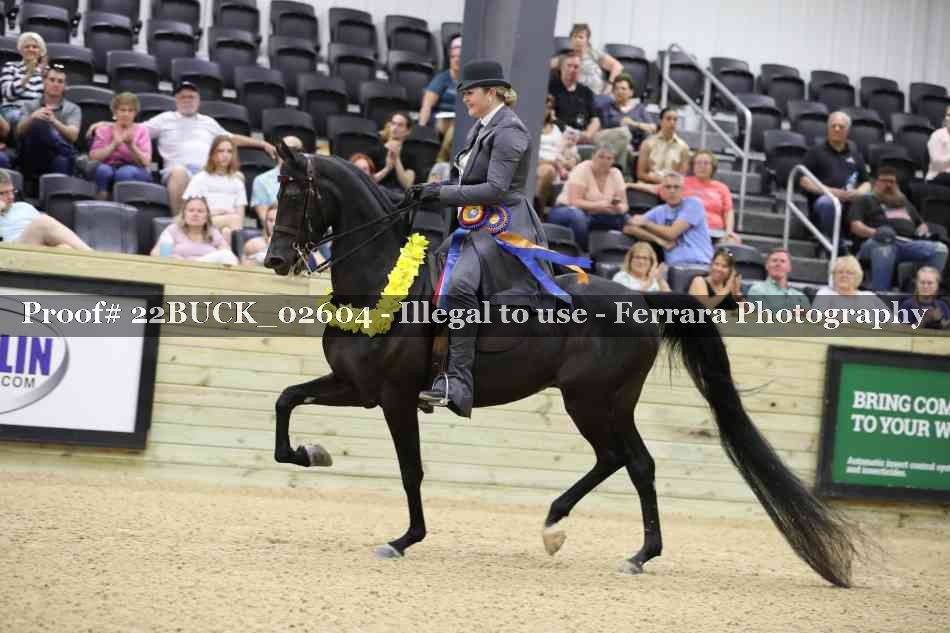 Proof 22BUCK_02604