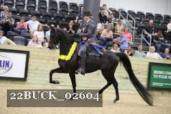 22BUCK_02604 proof