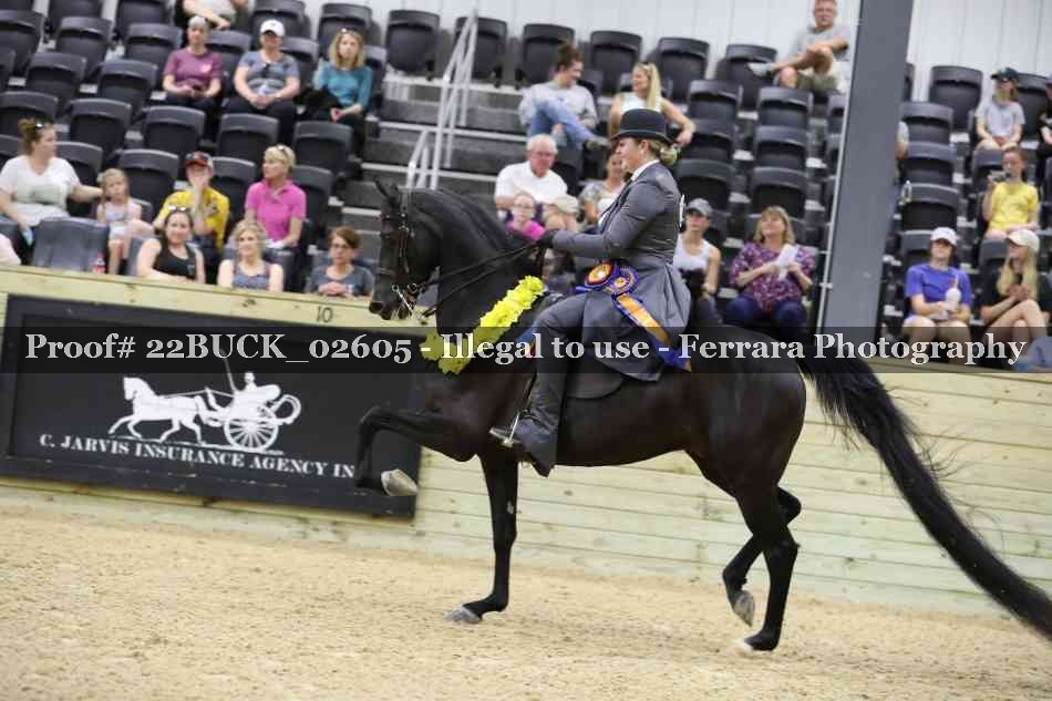 Proof 22BUCK_02605