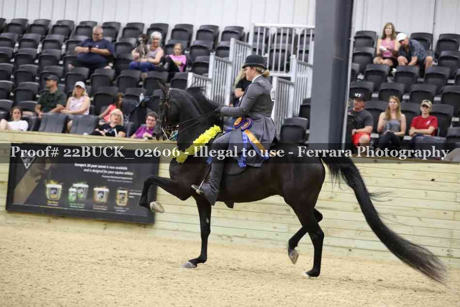 Proof 22BUCK_02606