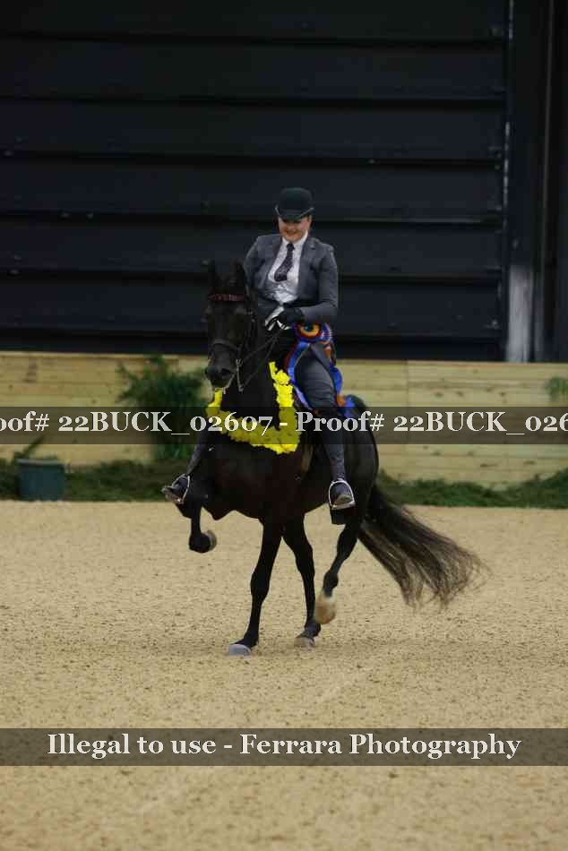 Proof 22BUCK_02607