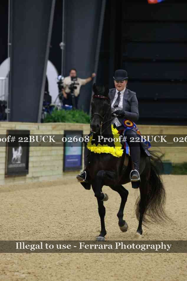 Proof 22BUCK_02608