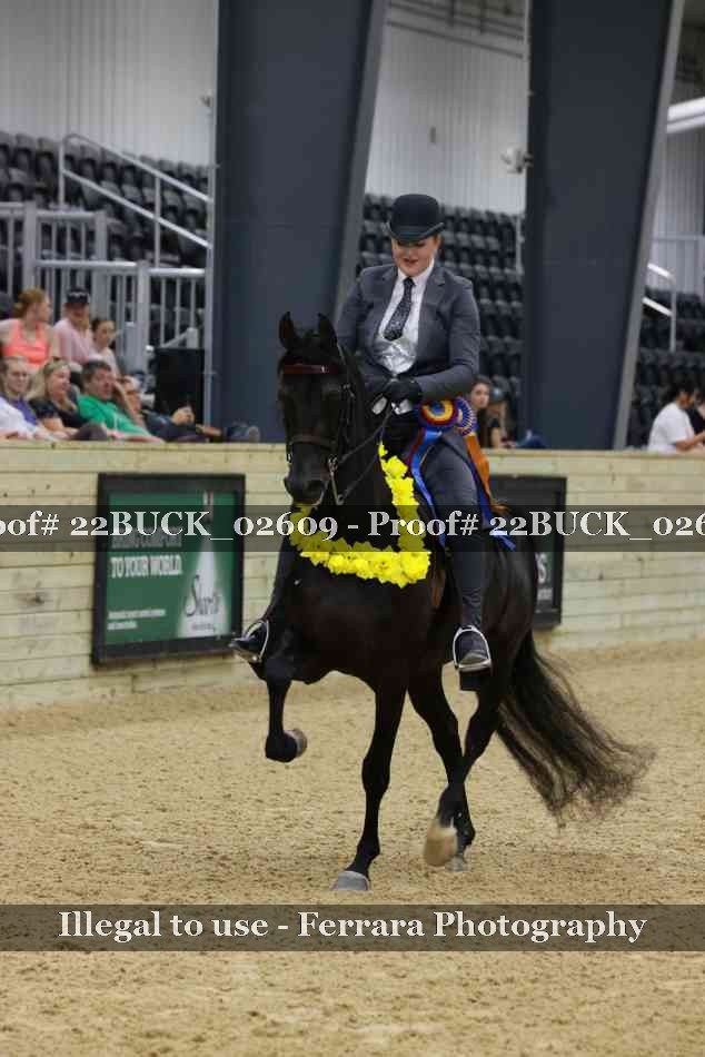 Proof 22BUCK_02609