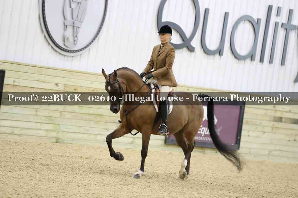Proof 22BUCK_02610