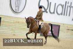 22BUCK_02610 proof