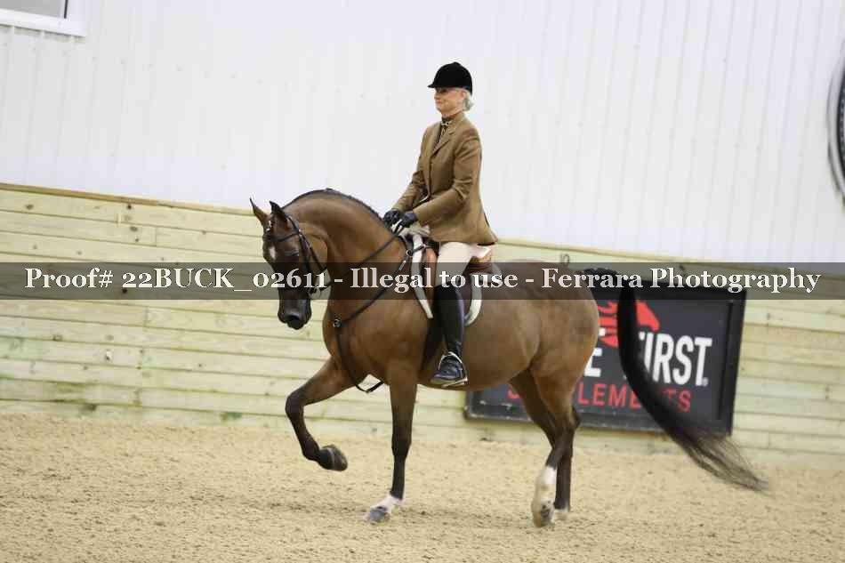 Proof 22BUCK_02611