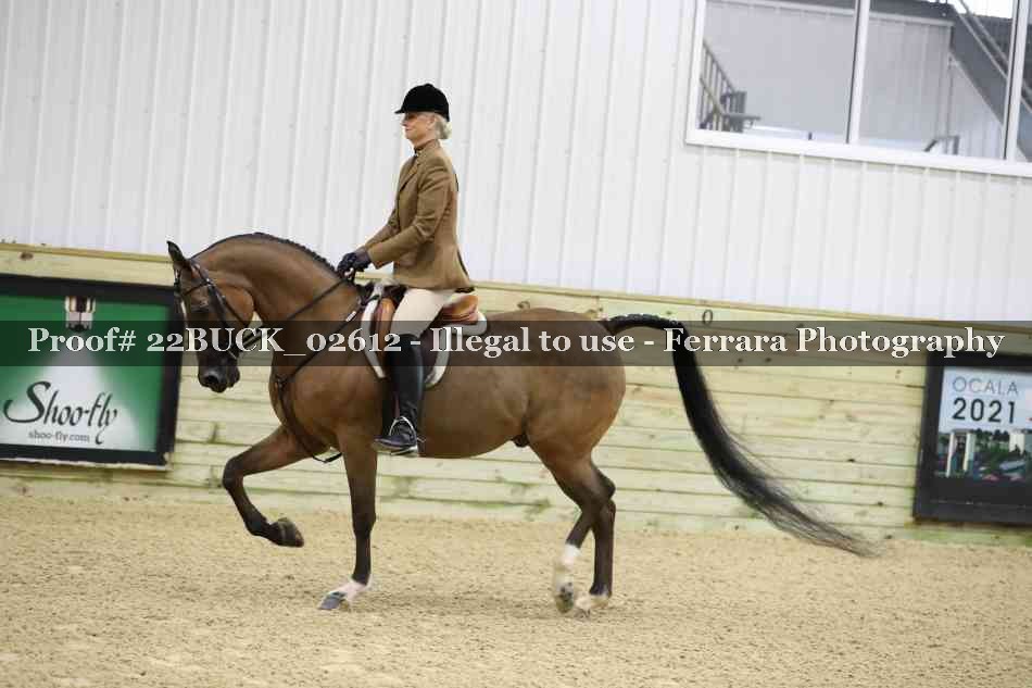Proof 22BUCK_02612
