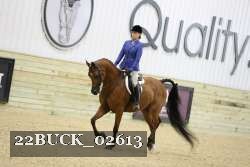 22BUCK_02613 proof