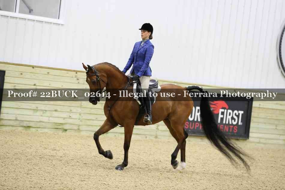 Proof 22BUCK_02614
