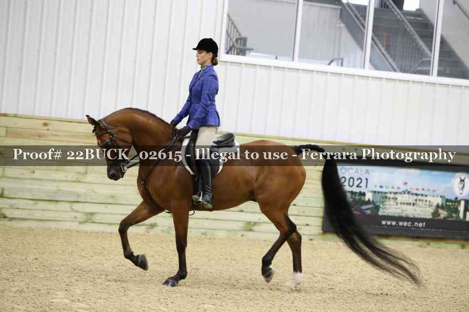 Proof 22BUCK_02615