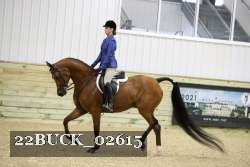 22BUCK_02615 proof