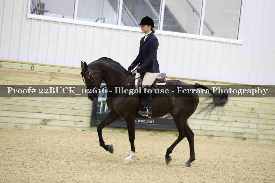 Proof 22BUCK_02616