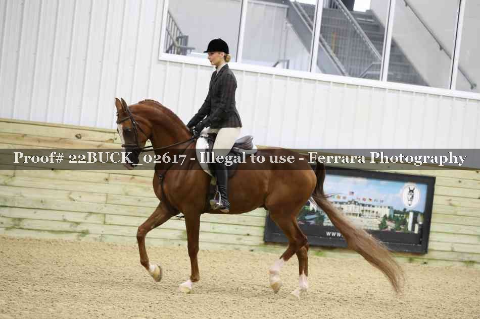 Proof 22BUCK_02617