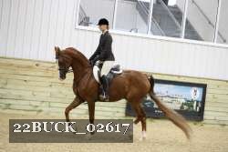 22BUCK_02617 proof