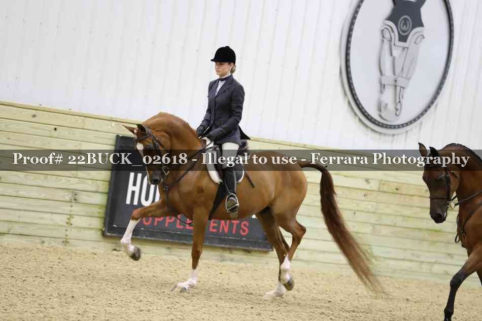 Proof 22BUCK_02618