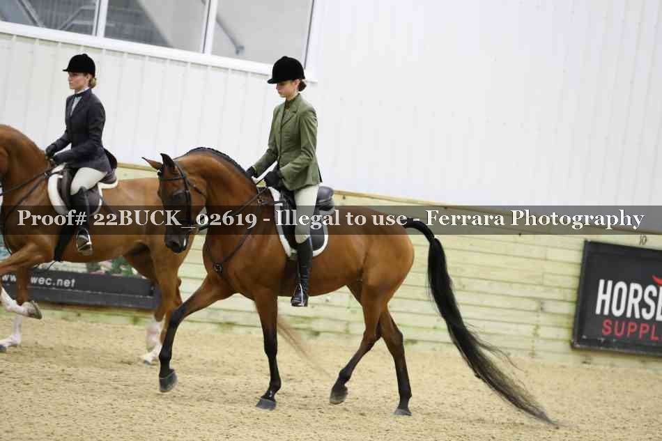Proof 22BUCK_02619