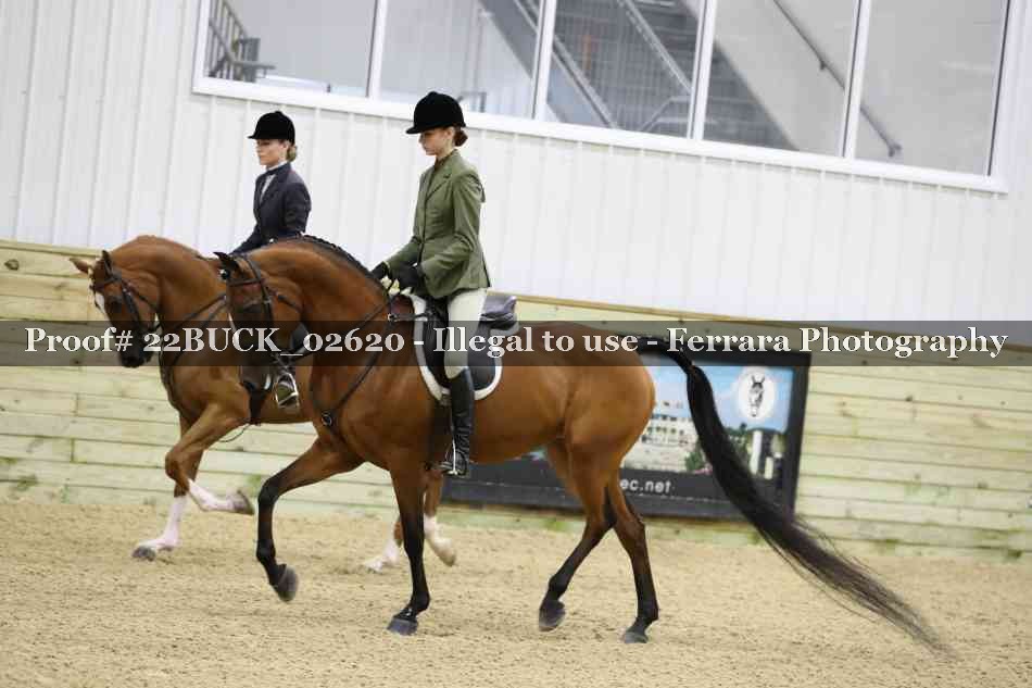 Proof 22BUCK_02620