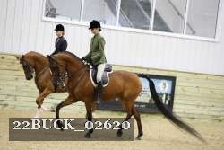 22BUCK_02620 proof