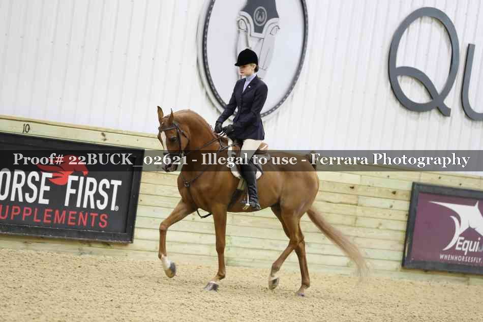 Proof 22BUCK_02621