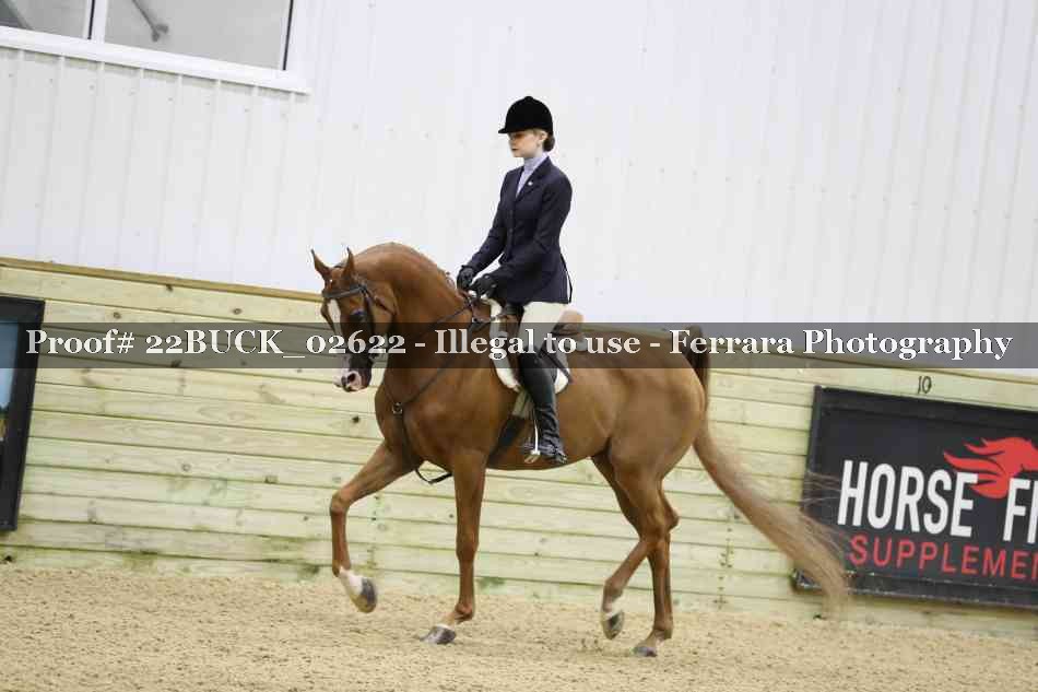 Proof 22BUCK_02622