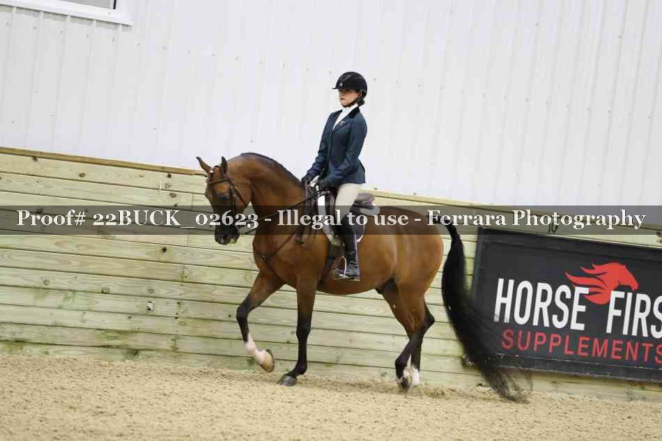 Proof 22BUCK_02623