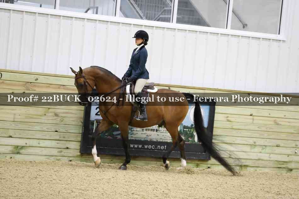 Proof 22BUCK_02624