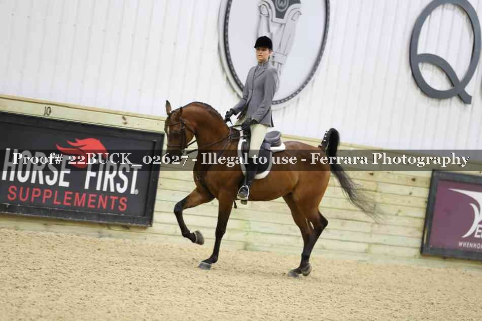 Proof 22BUCK_02627