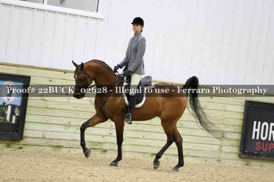 Proof 22BUCK_02628