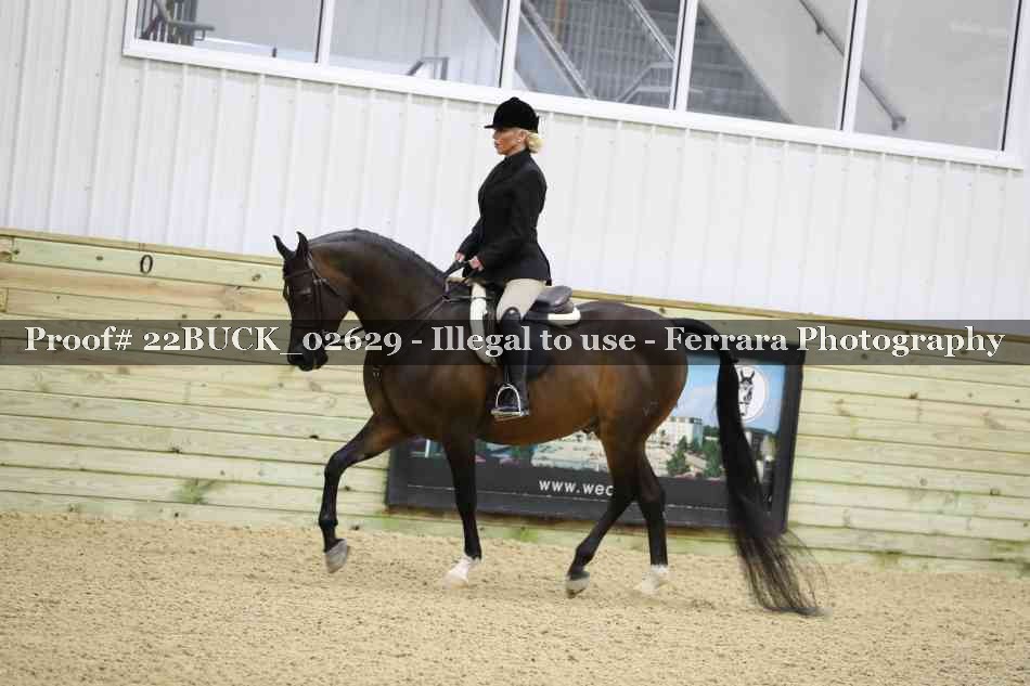 Proof 22BUCK_02629