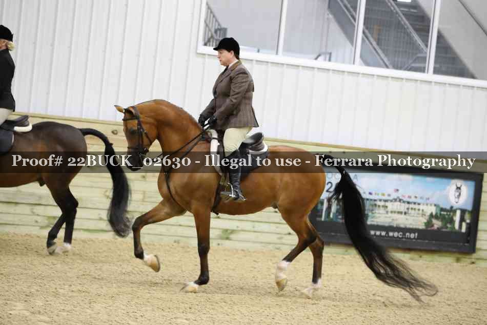 Proof 22BUCK_02630