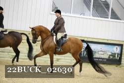 22BUCK_02630 proof
