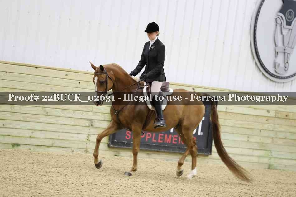 Proof 22BUCK_02631