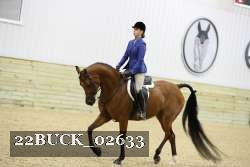 22BUCK_02633 proof