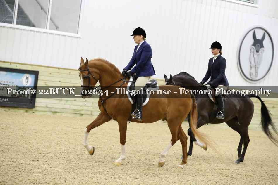 Proof 22BUCK_02634