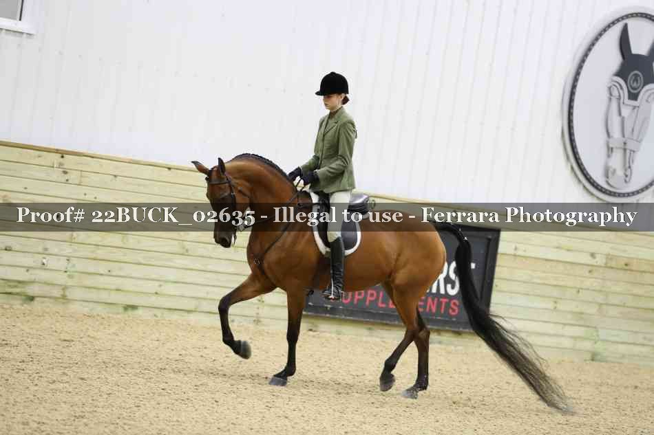 Proof 22BUCK_02635