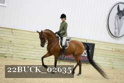 22BUCK_02635 proof