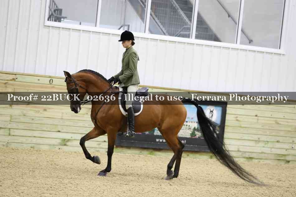 Proof 22BUCK_02636