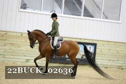 22BUCK_02636 proof