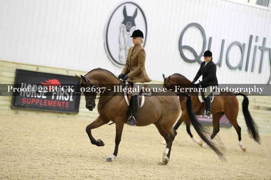 Proof 22BUCK_02637