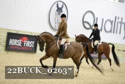 22BUCK_02637 proof